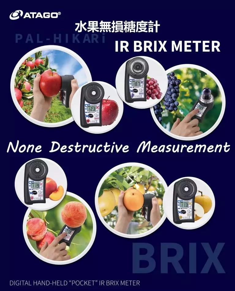 B.webp.jpg