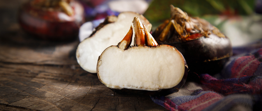 攝圖網_501139355_wx_馬蹄果(企業商用).jpg 攝圖網_501139355_wx_馬蹄果(企業商用).jpg